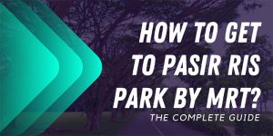 How To Get To Pasir Ris Park By Mrt Complete Detailed Guide