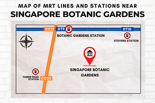 Map of MRT Lines and Stations near Singapore Botanic Gardens
