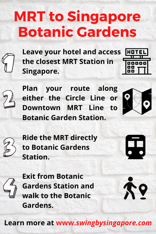 How to Get to Singapore Botanic Gardens Using MRT?