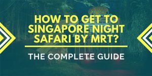 night safari mrt