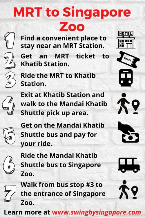 How to Get to Singapore Zoo by MRT?
