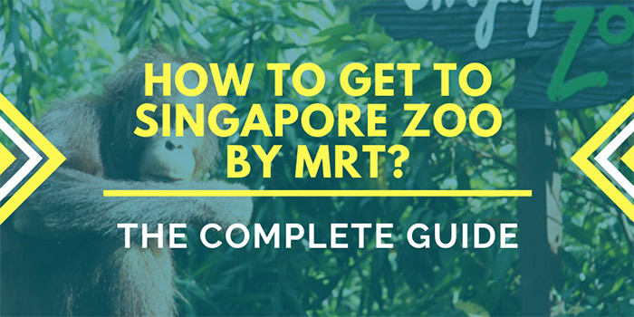 How to Get to Singapore Zoo by MRT?
