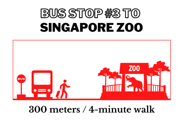 Walking time and distance from Bus Stop #3 to Singapore Zoo