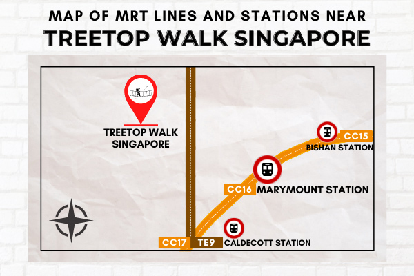 Map of MRT Lines and Stations near TreeTop Walk Singapore