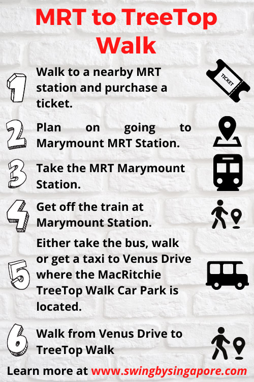 How to Get to TreeTop Walk Singapore by MRT?