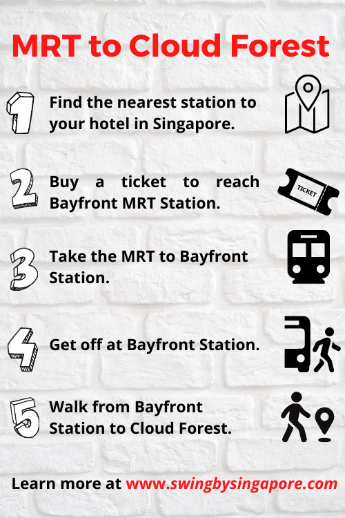 How to Get to Cloud Forest Singapore by MRT?