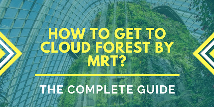How to Get to Cloud Forest Singapore by MRT?