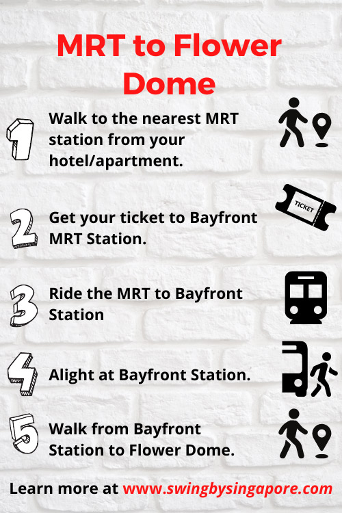 How to Get to Flower Dome Singapore by MRT?