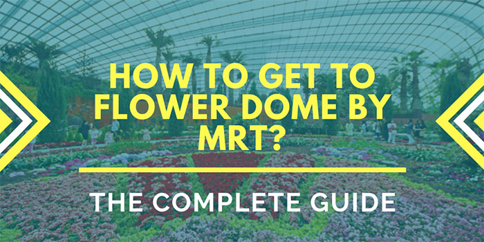 How to Get to Flower Dome Singapore by MRT?