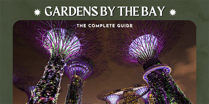 Gardens by the Bay – The Complete Guide