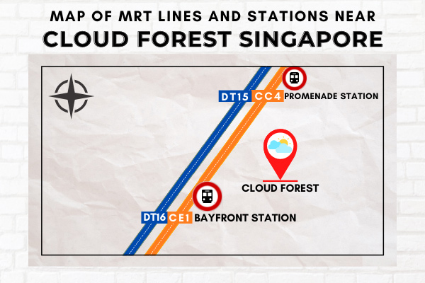 Map of MRT Lines and Stations near Cloud Forest
