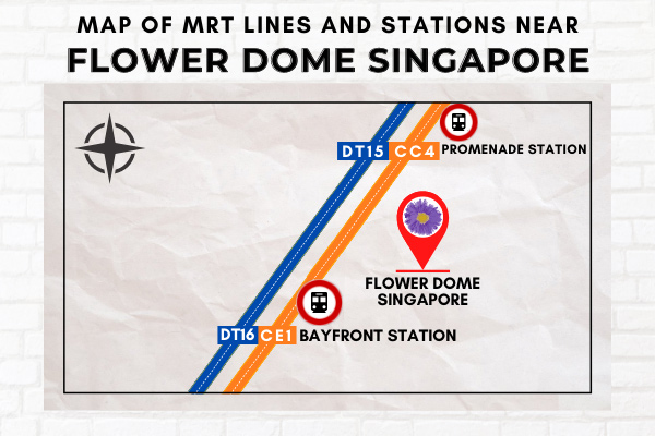Map of MRT Lines and Stations near Flower Dome Singapore