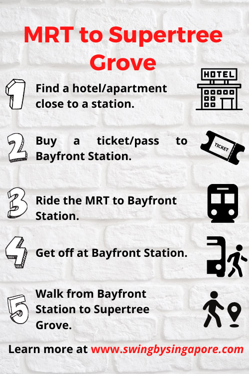 How to Get to Supertree Grove Singapore by MRT?