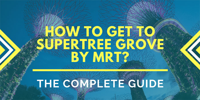 How to Get to Supertree Grove Singapore by MRT?