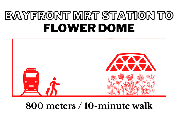 Walking time and distance from Bayfront MRT Station to Flower Dome