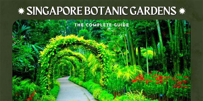 Singapore Botanic Gardens – The Complete Guide