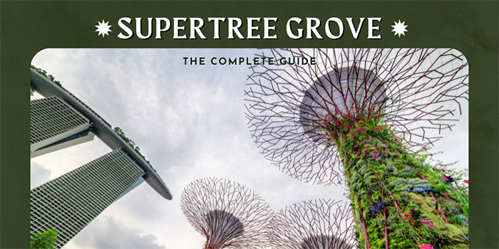 Supertree Grove – The Ultimate Guide