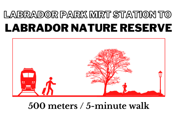 Walking time and distance from Labrador Park MRT Station to Labrador Nature Reserve