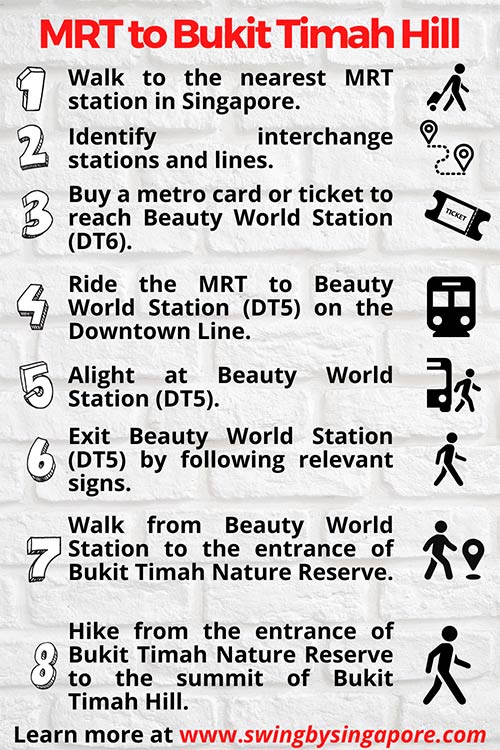 How to get to Bukit Timah Hill in Singapore?