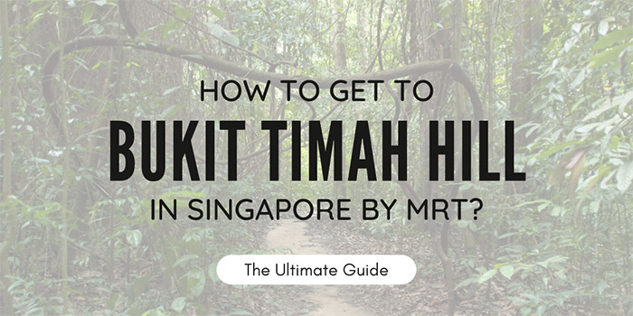 How to get to Bukit Timah Hill in Singapore?