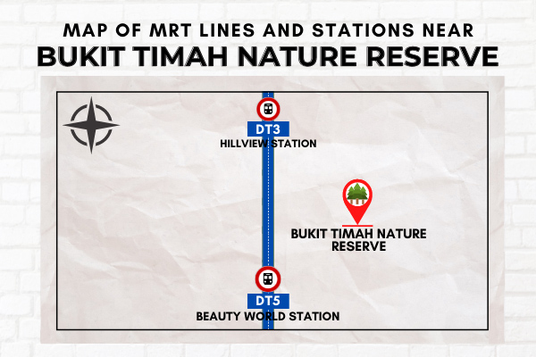 Map of MR Lines and Stations near Bukit Timah Nature Reserve